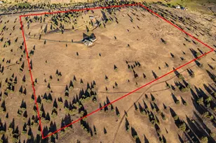 26216 W Bench Rd, John Day, OR 97845 - Photo 6