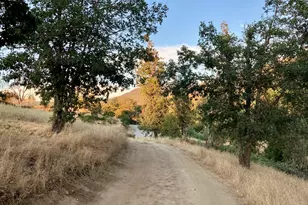 6585 Little Applegate Rd, Jacksonville, OR 97530 - Photo 98