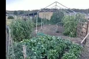 4413 Merita Terrace, Central Point, OR 97502 - Photo 28