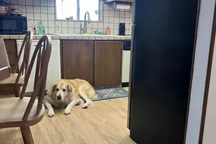 3519 Onyx Ave, Klamath Falls, OR 97603 - Photo 16