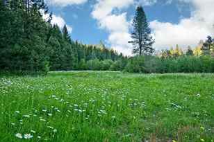 50000 Hwy 62, Prospect, OR 97536 - Photo 16