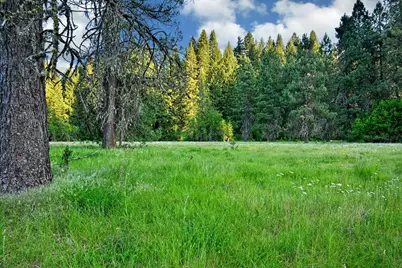 50000 Hwy 62, Prospect, OR 97536 - Photo 4