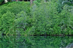 50000 Hwy 62, Prospect, OR 97536 - Photo 24