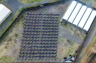 1338 Thompson Creek Rd, Selma, OR 97538 - Photo 54