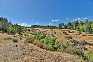 13388 Butte Falls Hwy, Eagle Point, OR 97524 - Photo 48