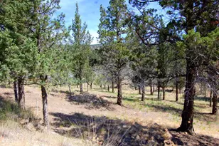 NE Tl 700 Irvine Ave, Prineville, OR 97754 - Photo 4