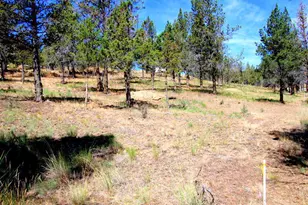 NE Tl 700 Irvine Ave, Prineville, OR 97754 - Photo 2