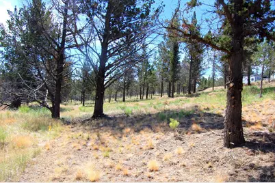 Ne Tl 700 Irvine Avenue, Prineville, OR 97754 - Photo 16
