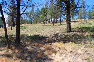 NE Tl 700 Irvine Ave, Prineville, OR 97754 - Photo 10