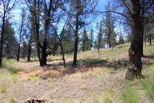 NE Tl 700 Irvine Ave, Prineville, OR 97754 - Photo 12