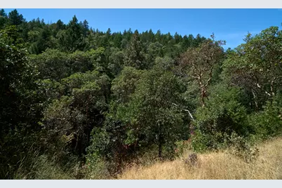 1140 Tomahawk Drive, Jacksonville, OR 97530 - Photo 16