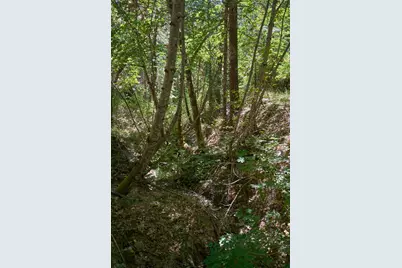 1140 Tomahawk Drive, Jacksonville, OR 97530 - Photo 12