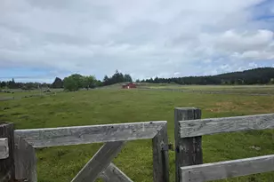 91146 Pioneer Farm Rd, Warrenton, OR 97146 - Photo 32