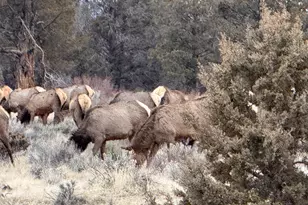 12510 SW Geneva Rd, Culver, OR 97734 - Photo 30