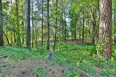 6324 E Evans Creek Road, Rogue River, OR 97537 - Photo 28