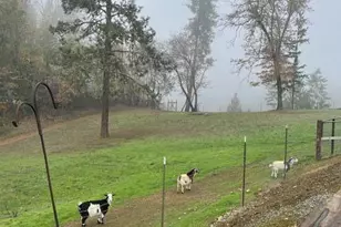 375 Jordan Creek Rd, Riddle, OR 97469 - Photo 38