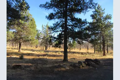 55820 Parazoo Trail, Bly, OR 97622 - Photo 44