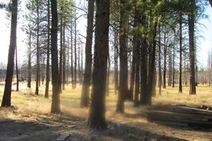 55820 Parazoo Trl, Bly, OR 97622 - Photo 38