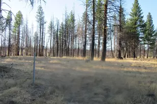 55820 Parazoo Trl, Bly, OR 97622 - Photo 46