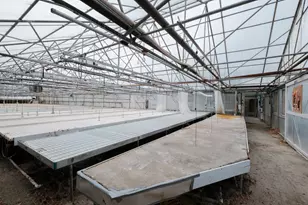 55 Q St St, Cottage Grove, OR 97424 - Photo 22