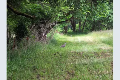 4340 State Hwy 38, Drain, OR 97435 - Photo 52