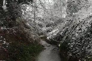 377 Pelton Ln, Gold Hill, OR 97525 - Photo 70