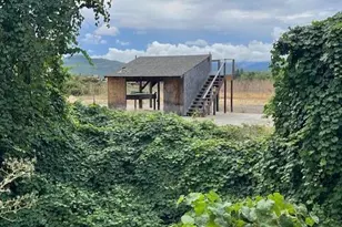 377 Pelton Ln, Gold Hill, OR 97525 - Photo 82