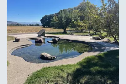 377 Pelton Lane, Gold Hill, OR 97525 - Photo 4