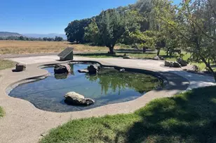 377 Pelton Ln, Gold Hill, OR 97525 - Photo 4