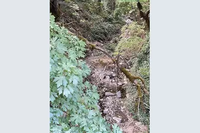 377 Pelton Lane, Gold Hill, OR 97525 - Photo 72