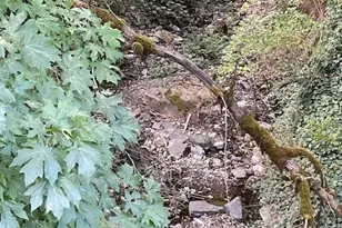 377 Pelton Ln, Gold Hill, OR 97525 - Photo 72