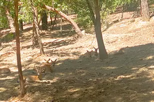 939 Beaver Creek Rd, Jacksonville, OR 97530 - Photo 46