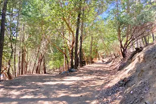 939 Beaver Creek Rd, Jacksonville, OR 97530 - Photo 50