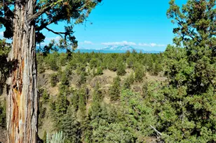 65255 Swalley Rd, Bend, OR 97703 - Photo 24