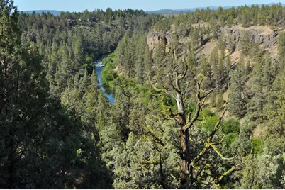 65255 Swalley Road, Bend, OR 97703 - Photo 8