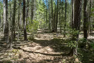 8843 Deer Creek Rd, Selma, OR 97538 - Photo 48