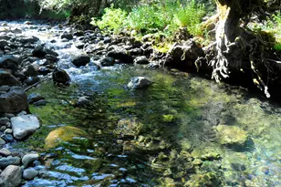 8843 Deer Creek Rd, Selma, OR 97538 - Photo 58