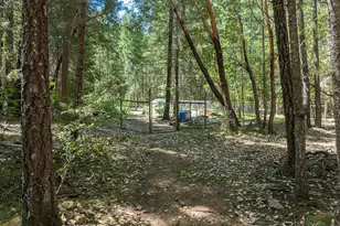 8843 Deer Creek Rd, Selma, OR 97538 - Photo 46