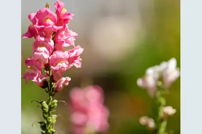 59773 Cheyenne Road, Bend, OR 97702 - Photo 40