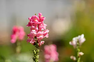 59773 Cheyenne Rd, Bend, OR 97702 - Photo 40