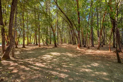 341 Sugar Pine Drive, Merlin, OR 97532 - Photo 54