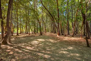 341 Sugar Pine Dr, Merlin, OR 97532 - Photo 54