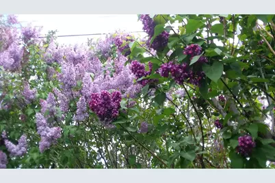 2615 SW 21st Street, Redmond, OR 97756 - Photo 28