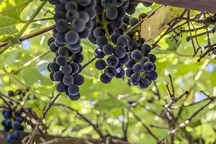 951 SE Rancho Ln, Madras, OR 97741 - Photo 22