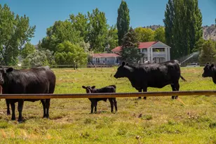 59047 Old Lake Rd, Christmas Valley, OR 97641 - Photo 62