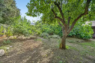 740 Park St, Ashland, OR 97520 - Photo 14