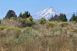 3138 Sheep Mountain Rd, Macdoel, CA 96058 - Photo 26