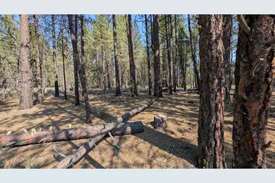 Green Forest Drive #2, 3, Chiloquin, OR 97624 - Photo 6