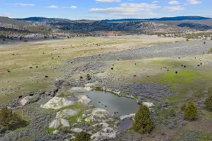 33800 Tackman Rd, Prineville, OR 97754 - Photo 8