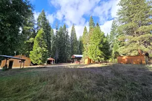 441 Red Blanket Rd, Prospect, OR 97536 - Photo 4